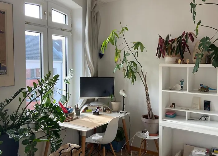 Bright Old Building Whole Apartment Cologne